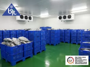 Cold Storage Suhu Freezer Ikan Laut dari BJT: Standar Ekspor untuk Kesegaran Maksimal